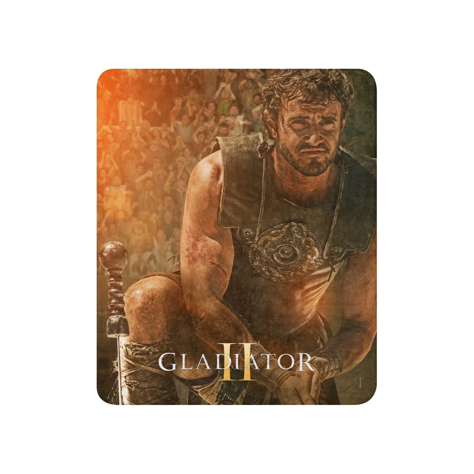 Gladiator II Lucius Sherpa Blanket - Image 4