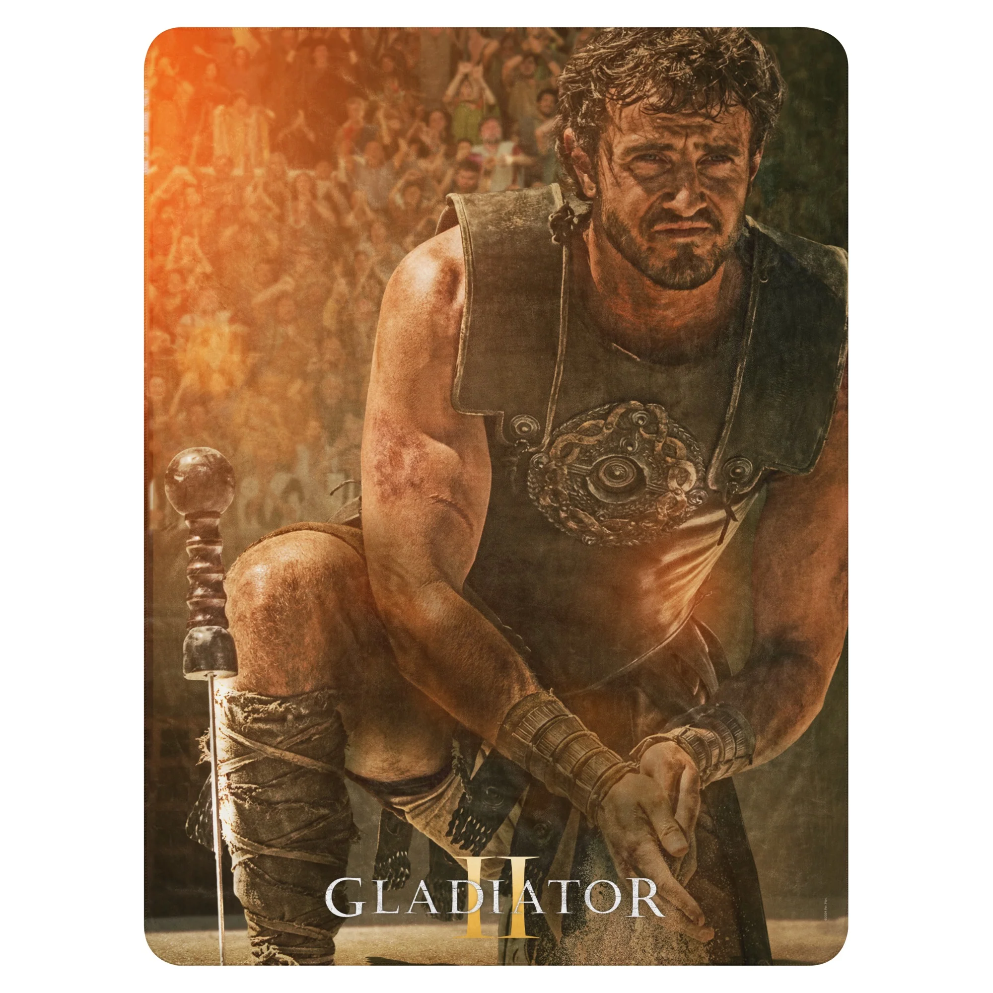Gladiator II Lucius Sherpa Blanket - Image 7